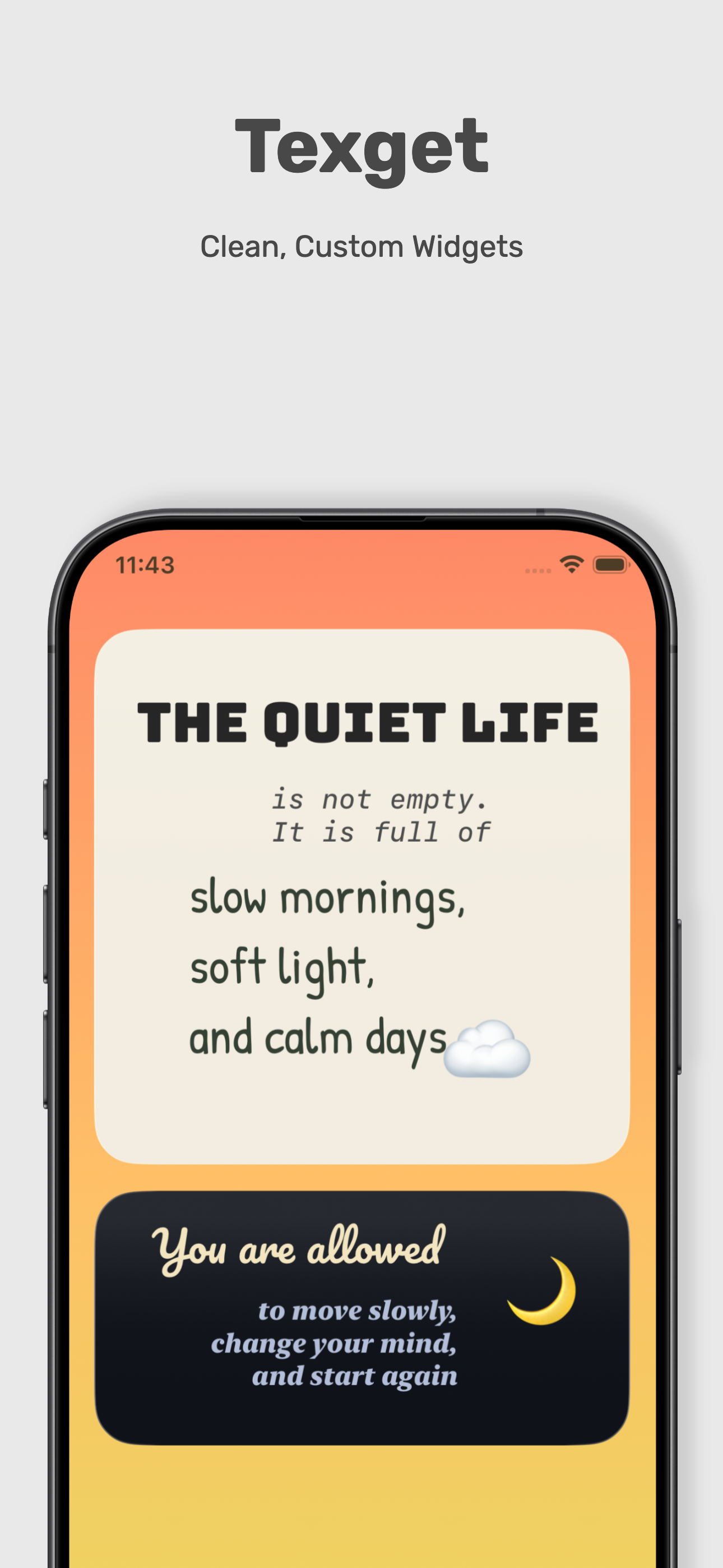 Text widget editor screenshot